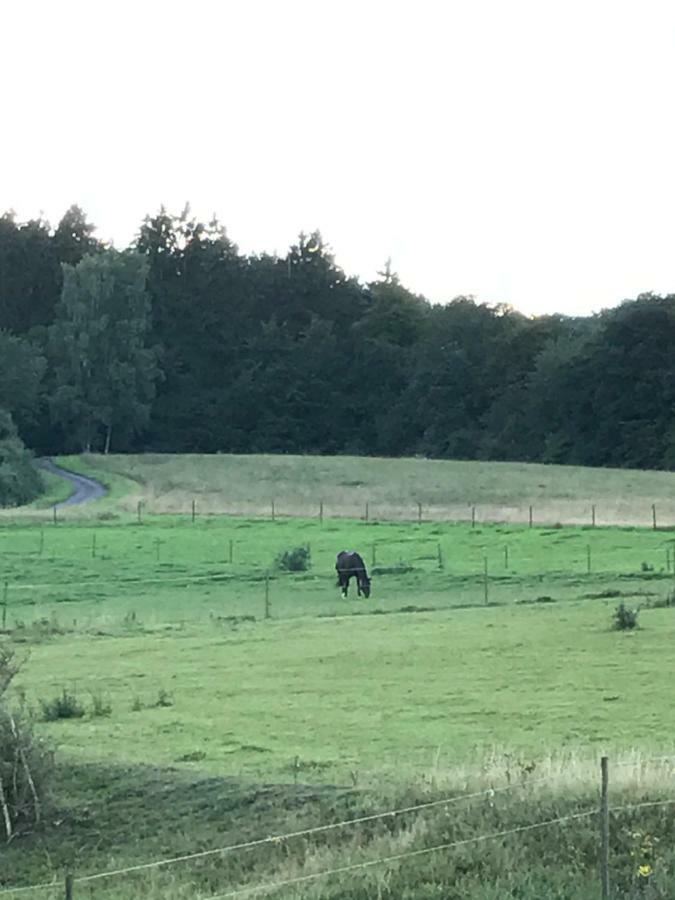 Ferienwohnung Goebel Kelberg Eksteriør bilde